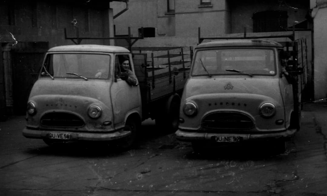 1954